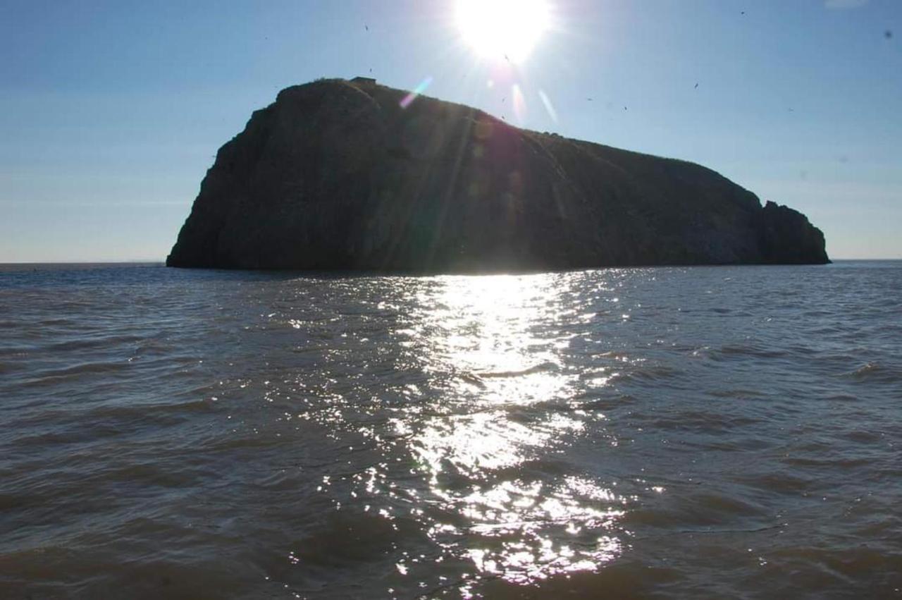 95 Holiday Resort Unity 3 Bed Passes Included Brean Εξωτερικό φωτογραφία